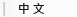 中文
